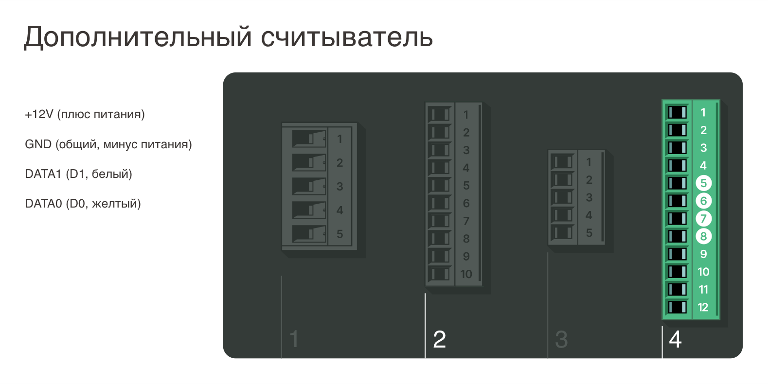 (1)иллюстрации+.png